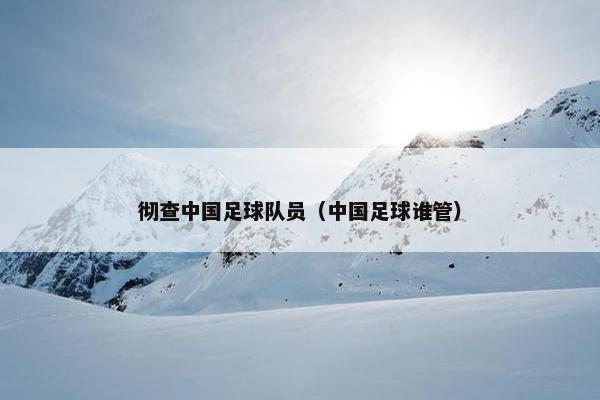 彻查中国足球队员（中国足球谁管）