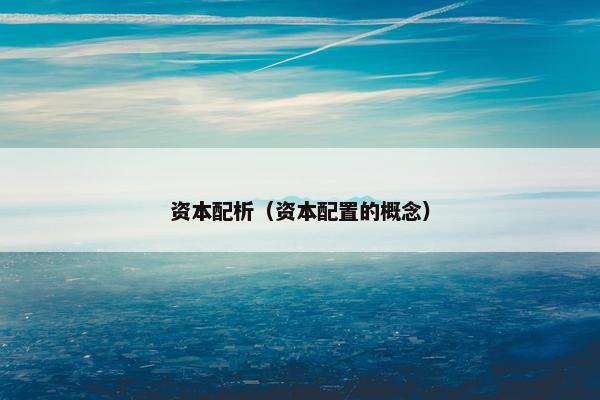 资本配析(资本配置的概念) 资本配析(资本配置的概念)
