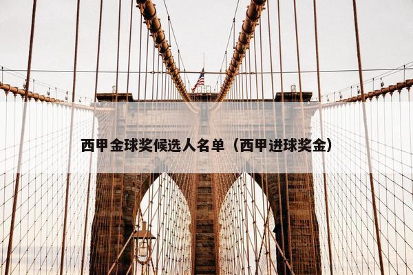 西甲金球奖候选人名单（西甲进球奖金）