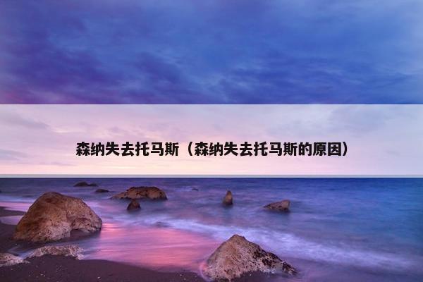 森纳失去托马斯（森纳失去托马斯的原因）