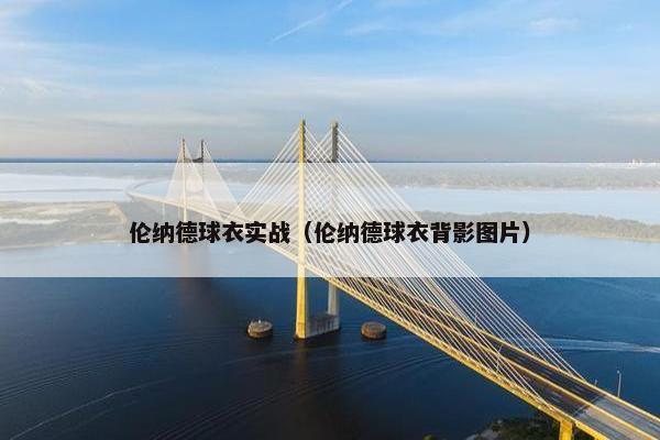 伦纳德球衣实战(伦纳德球衣背影图片) 伦纳德球衣实战(伦纳德球衣背影图片)