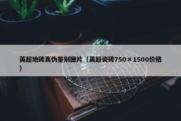 英超地砖真伪鉴别图片（英超瓷砖750×1500价格）