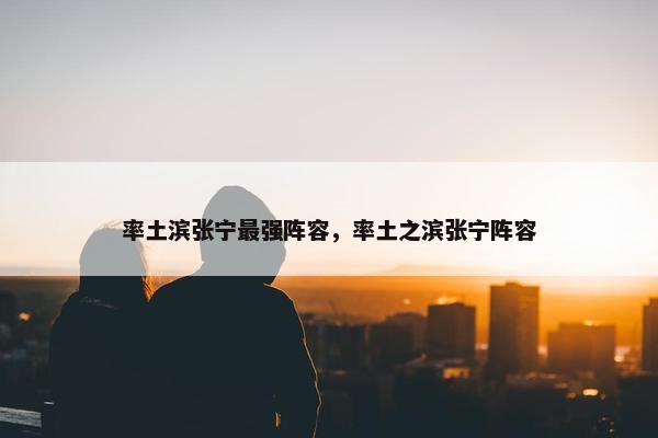 率土滨张宁最强阵容，率土之滨张宁阵容