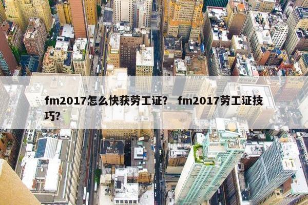 fm2017怎么快获劳工证？ fm2017劳工证技巧？