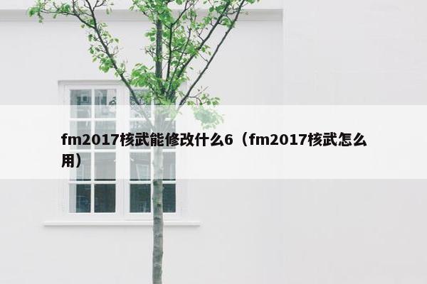 fm2017核武能修改什么6（fm2017核武怎么用）