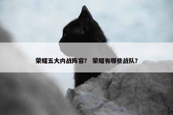 荣耀五大内战阵容? 荣耀有哪些战队? 荣耀五大内战阵容? 荣耀有哪些战队?