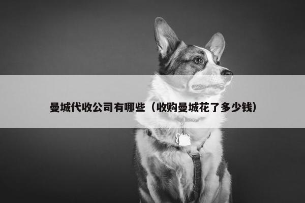 曼城代收公司有哪些（收购曼城花了多少钱）