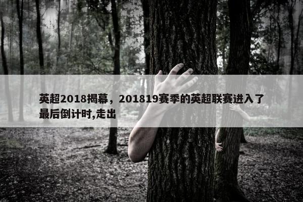 英超2018揭幕，201819赛季的英超联赛进入了最后倒计时,走出