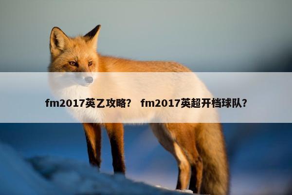 fm2017英乙攻略? fm2017英超开档球队? fm2017英乙攻略? fm2017英超开档球队?