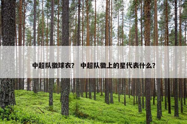 中超队徽球衣？ 中超队徽上的星代表什么？