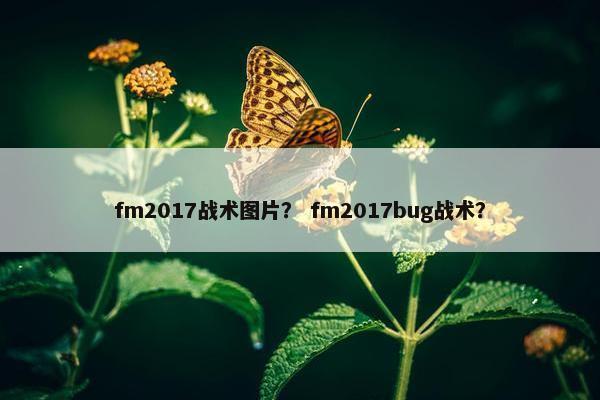fm2017战术图片？ fm2017bug战术？