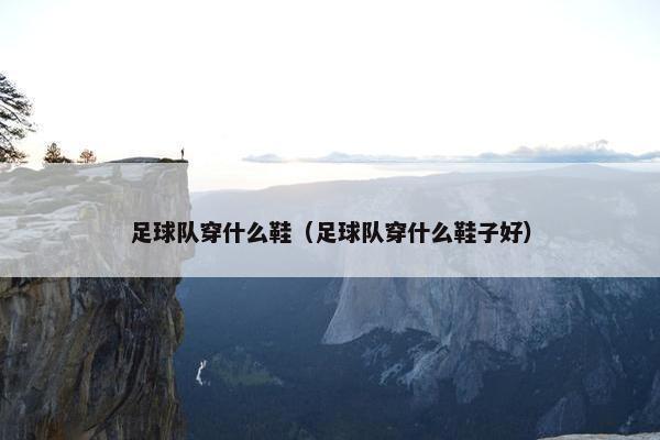 足球队穿什么鞋（足球队穿什么鞋子好）