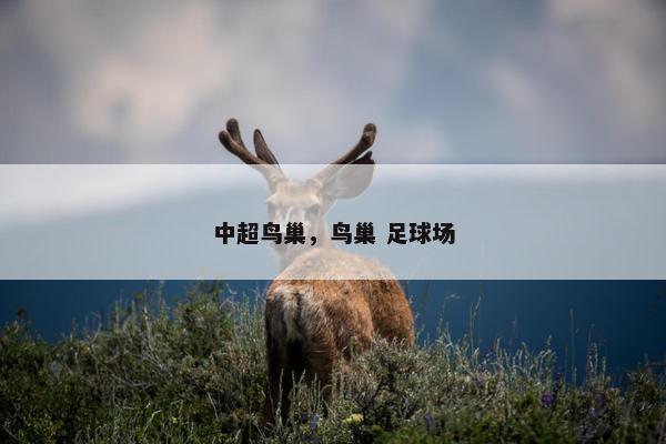 中超鸟巢,鸟巢 足球场 中超鸟巢,鸟巢 足球场