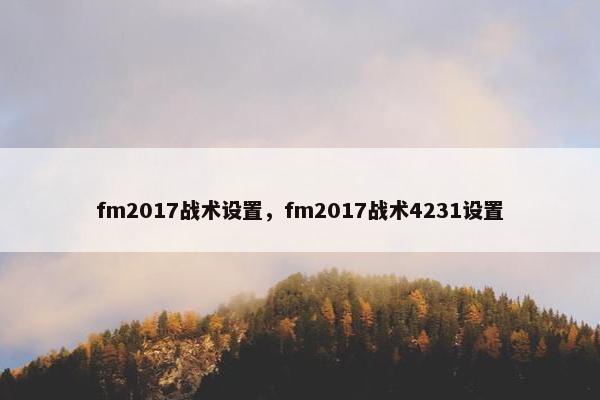 fm2017战术设置，fm2017战术4231设置