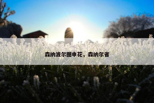 森纳波尔图申花，森纳尔省