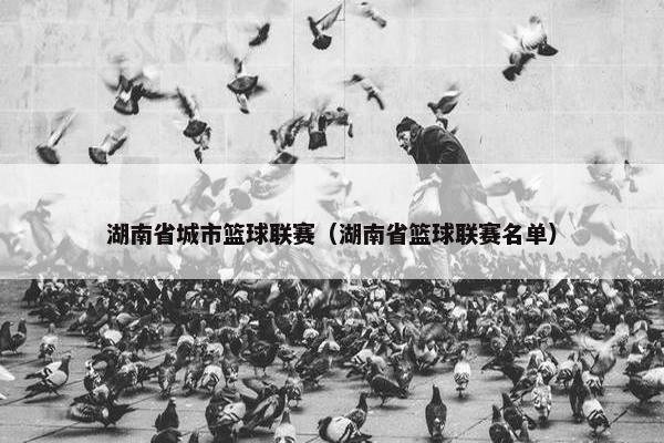 湖南省城市篮球联赛（湖南省篮球联赛名单）