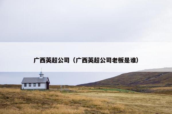 广西英超公司（广西英超公司老板是谁）