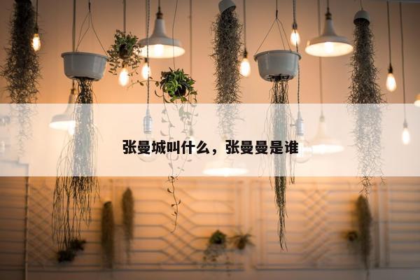 张曼城叫什么，张曼曼是谁