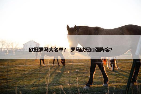 欧冠罗马大名单？ 罗马欧冠四强阵容？