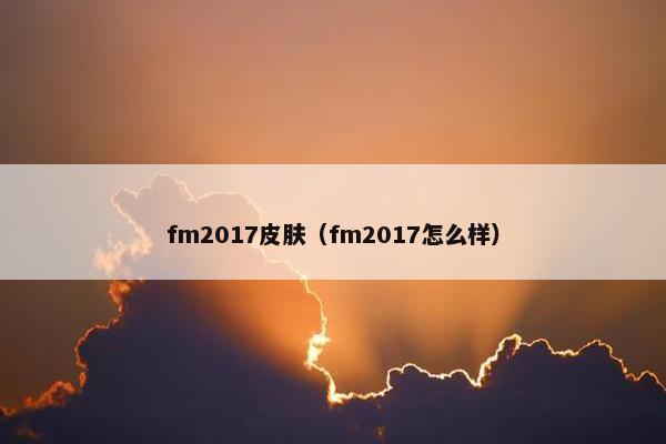 fm2017皮肤（fm2017怎么样）
