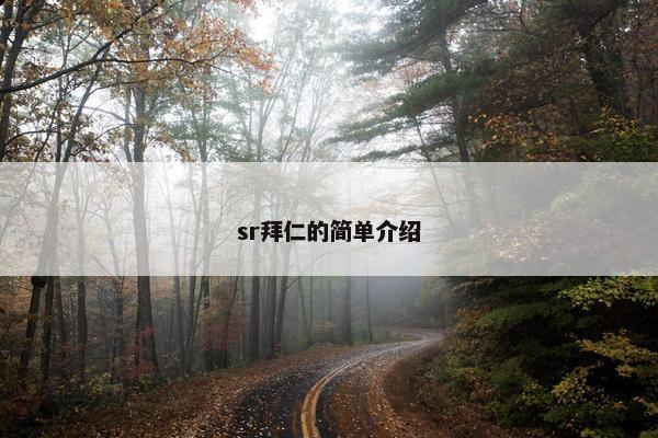 sr拜仁的简单介绍 sr拜仁的简单介绍