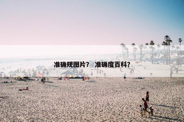 准确规图片？ 准确度百科？