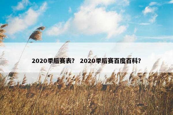 2020季后赛表？ 2020季后赛百度百科？
