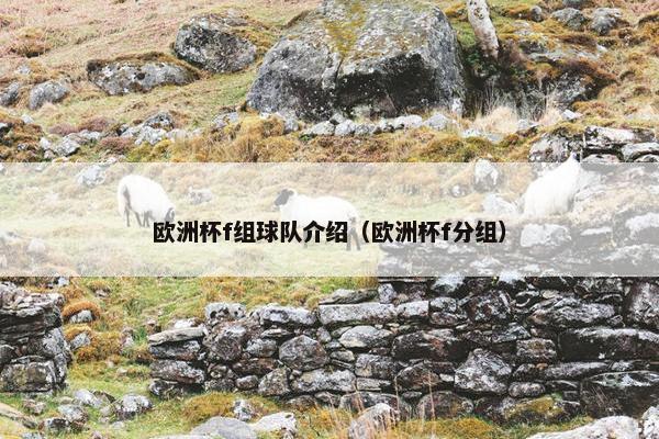 欧洲杯f组球队介绍（欧洲杯f分组）