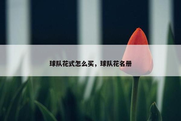 球队花式怎么买，球队花名册