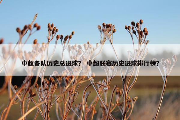 中超各队历史总进球？ 中超联赛历史进球排行榜？