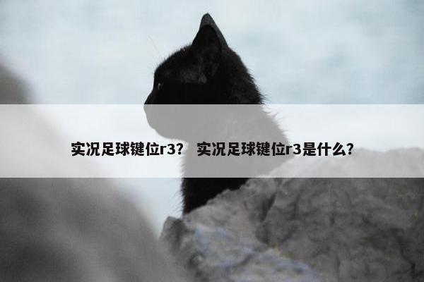 实况足球键位r3？ 实况足球键位r3是什么？