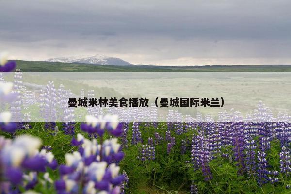 曼城米林美食播放（曼城国际米兰）