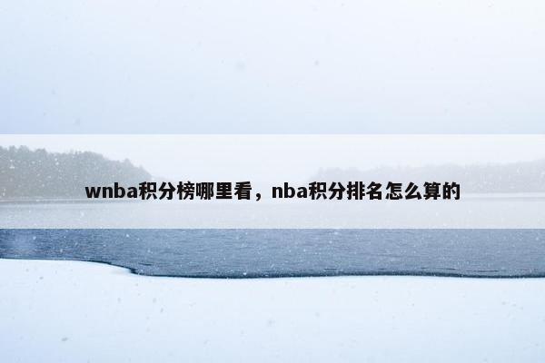 wnba积分榜哪里看，nba积分排名怎么算的