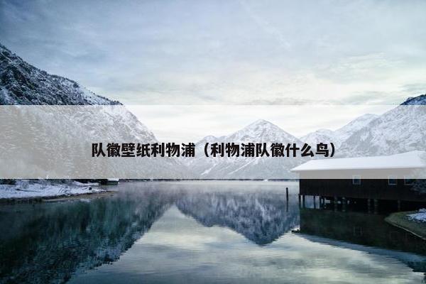 队徽壁纸利物浦（利物浦队徽什么鸟）