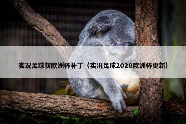 实况足球新欧洲杯补丁（实况足球2020欧洲杯更新）