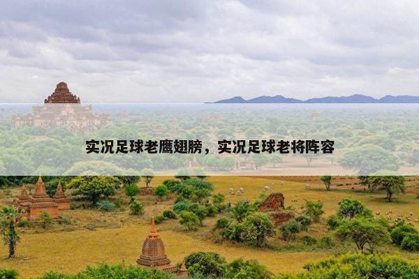 实况足球老鹰翅膀，实况足球老将阵容