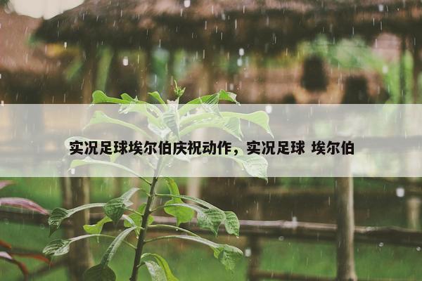 实况足球埃尔伯庆祝动作,实况足球 埃尔伯 实况足球埃尔伯庆祝动作,实况足球 埃尔伯