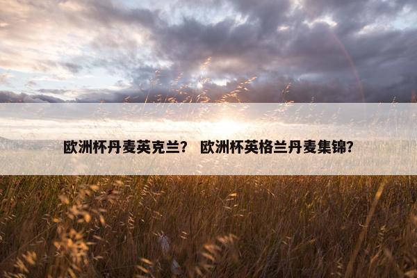 欧洲杯丹麦英克兰？ 欧洲杯英格兰丹麦集锦？