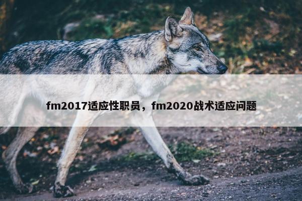 fm2017适应性职员,fm2020战术适应问题 fm2017适应性职员,fm2020战术适应问题