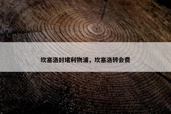 坎塞洛封堵利物浦，坎塞洛转会费