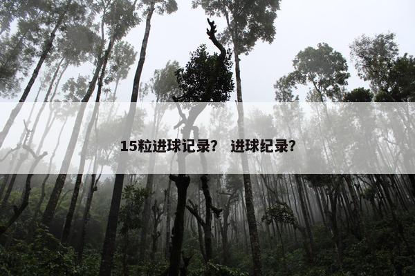 15粒进球记录? 进球纪录? 15粒进球记录? 进球纪录?