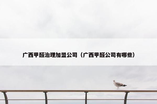 广西甲醛治理加盟公司（广西甲醛公司有哪些）