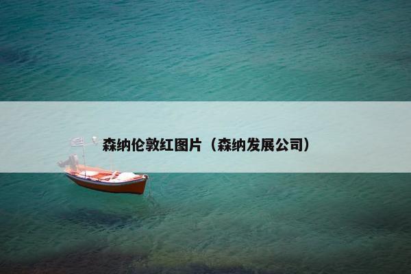 森纳伦敦红图片（森纳发展公司）