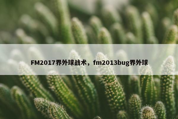 FM2017界外球战术，fm2013bug界外球