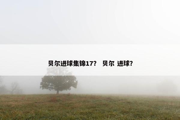 贝尔进球集锦17？ 贝尔 进球？
