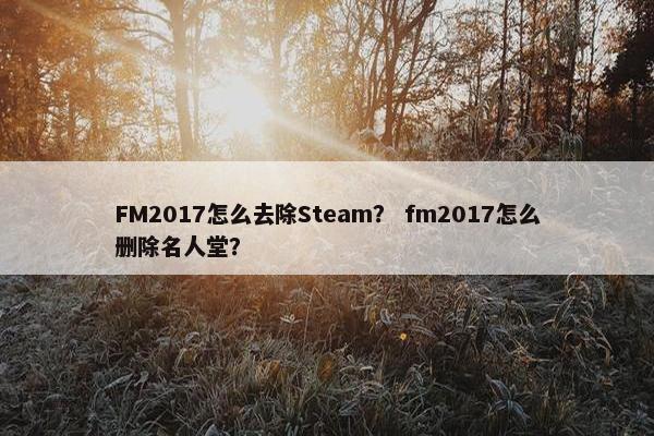 FM2017怎么去除Steam? fm2017怎么删除名人堂? FM2017怎么去除Steam? fm2017怎么删除名人堂?