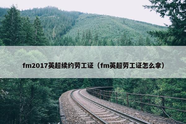 fm2017英超续约劳工证（fm英超劳工证怎么拿）