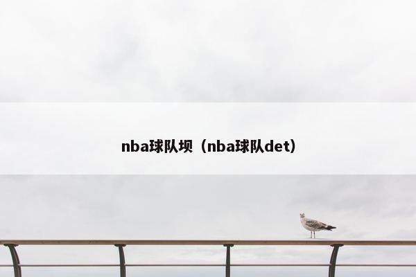 nba球队坝（nba球队det）