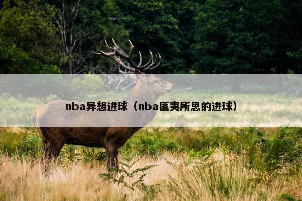 nba异想进球（nba匪夷所思的进球）