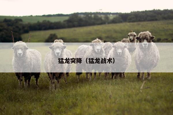 猛龙突降（猛龙战术）